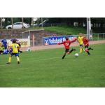 780x520Kinder u.Jugendsportspiele Neustadt-Sa. 1.07 (113).JPG